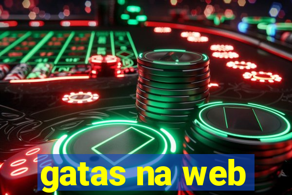 gatas na web